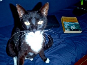 Thinking up a Hurricane