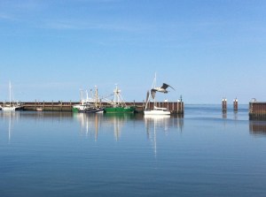 2014 08 08 SC IMG_4180