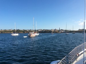 2015 08 08 SC IMG_1235