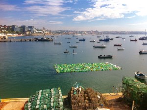 2015 09 09 SC IMG_5591