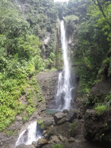 DCIM100GOPROGOPR1581.